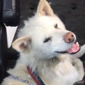 Meet your Posher, Terrie